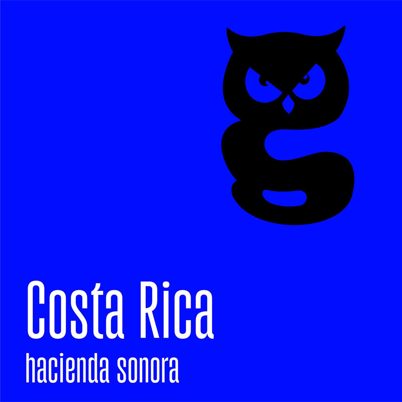 Cafea de specialitate COSTA RICA, Incognito Coffee Roasters 250g