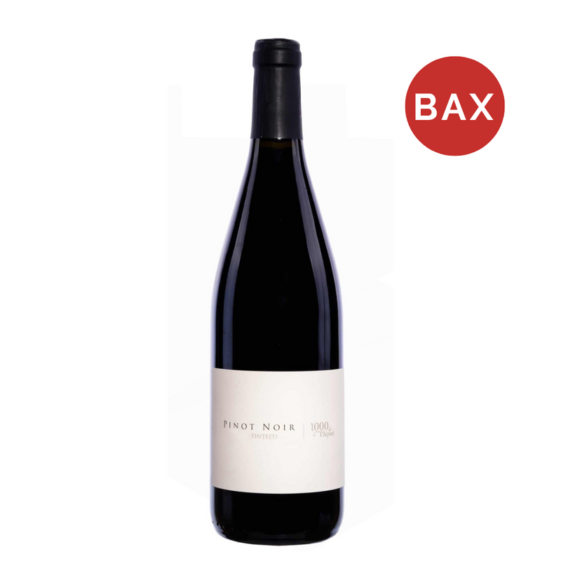 Vin rosu Pinot Noir 2021, 1000 de Chipuri 750ml Bax 6x0.75L